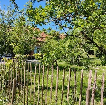 Le Clos De La Rose Gite Bien Etre Wirwignes Exterior foto